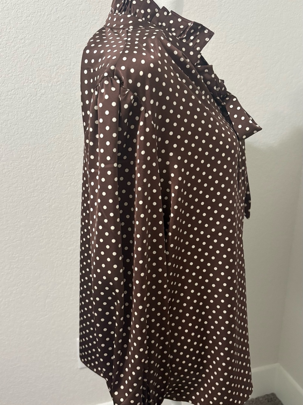 Brown Polka Dot Tie-Neck Blouse - Women - Picture 4 of 6
